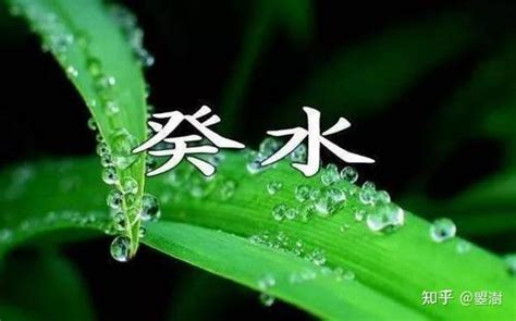 葵水 意思|癸水命